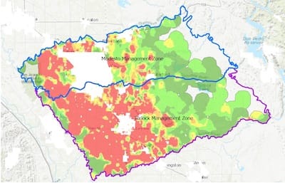 heat map